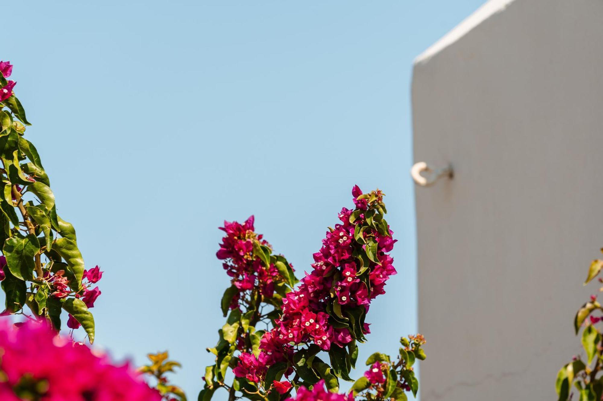 Rosabella Home Naxos City Bagian luar foto
